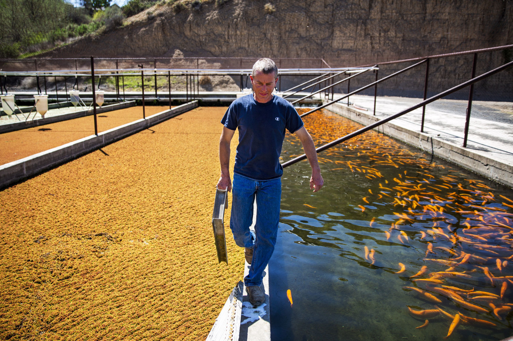 Aquaculture water